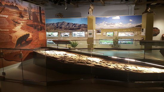 Museum Of Nature And Science